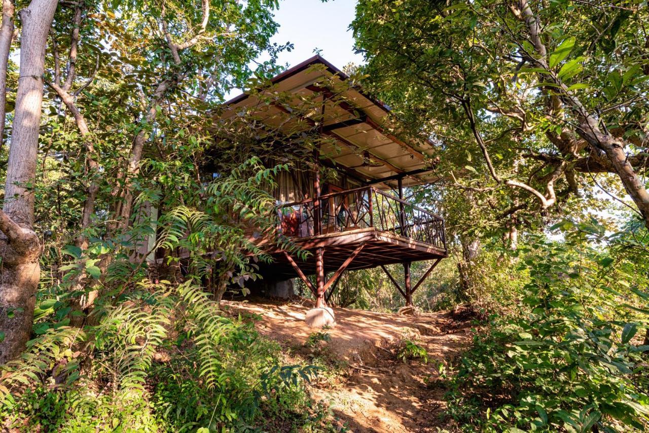 Kanha Jungle Camp Luaran gambar