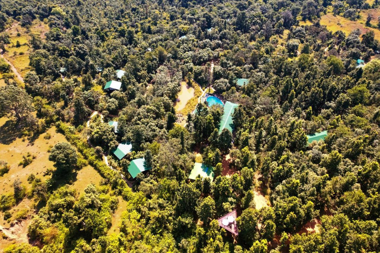 Kanha Jungle Camp Luaran gambar