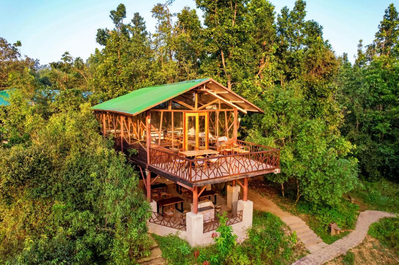 Kanha Jungle Camp Luaran gambar