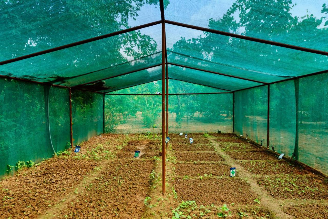 Kanha Jungle Camp Luaran gambar