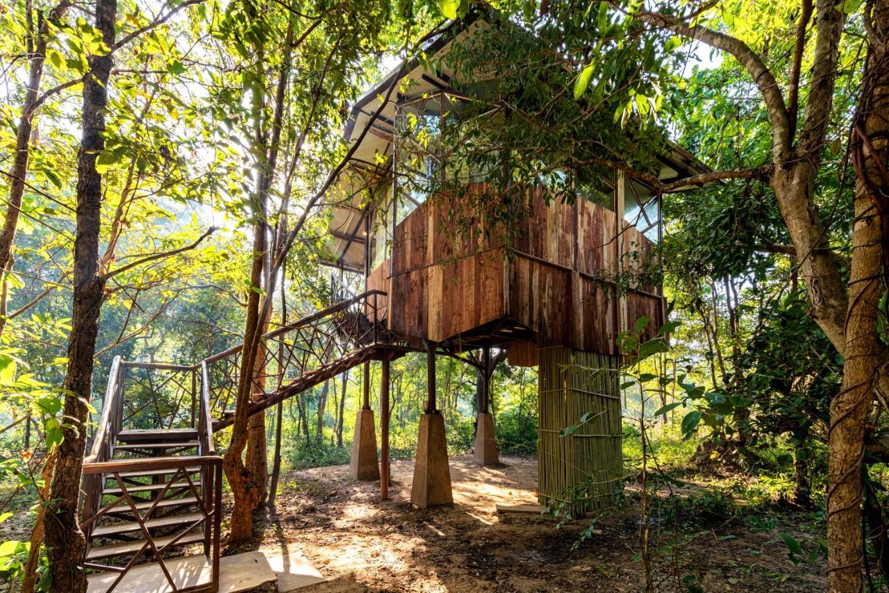Kanha Jungle Camp Luaran gambar