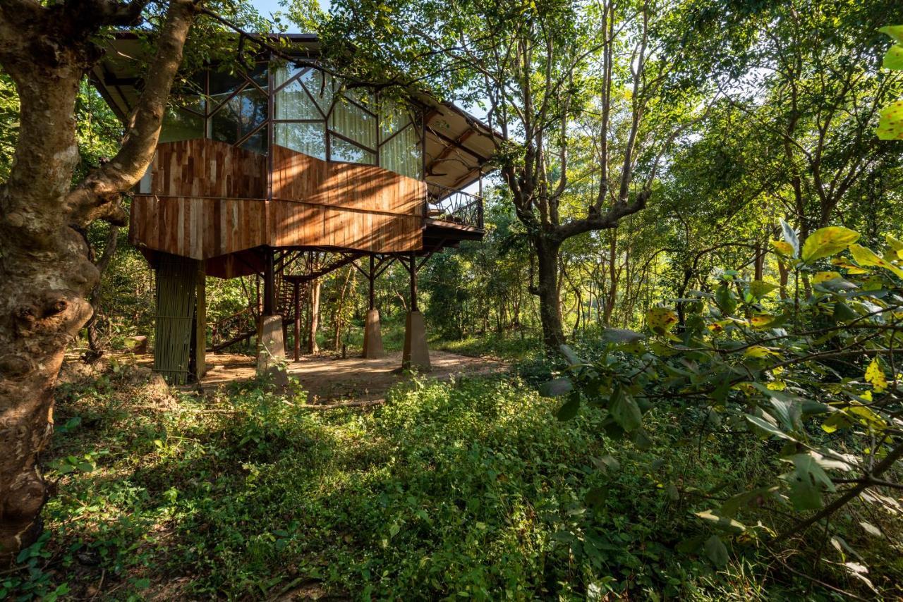 Kanha Jungle Camp Luaran gambar