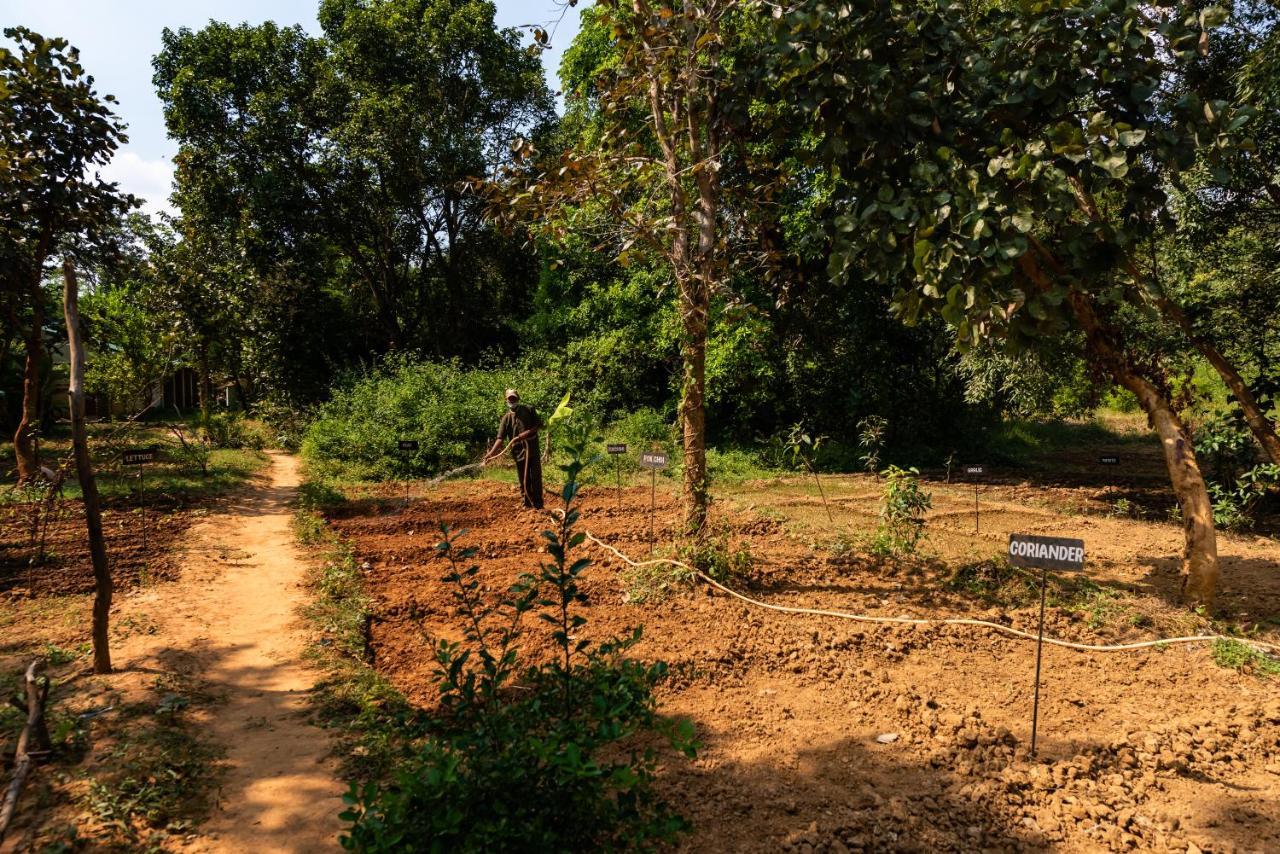 Kanha Jungle Camp Luaran gambar